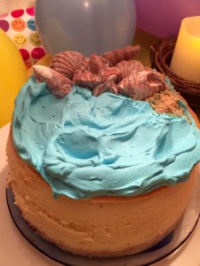 New York Cheese Cake       