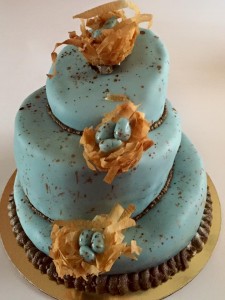 Topsy Turvy Robins Egg Cake - Lavender Cake with Raspberry Filling               